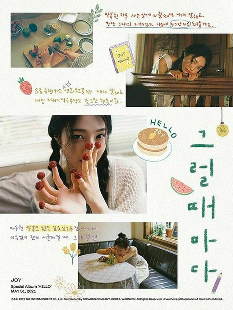 Red velvet レドベル hello ジョイ アルバム アンニョン (Hello): Red Velvet: Joy Special Album (Photobook